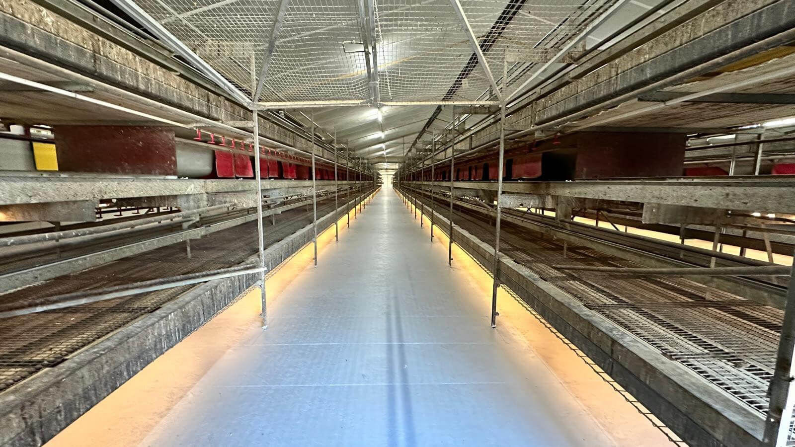 hyginischecoatingvloerenvoordepluimveehouderij