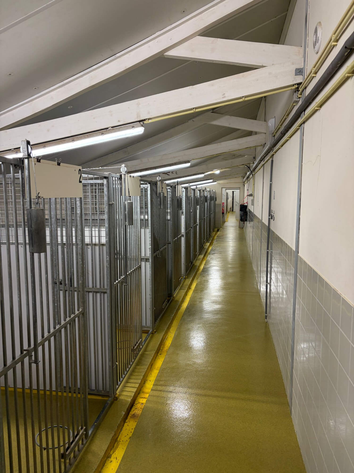 blog,-dierenpensions-en-goede-vloeren